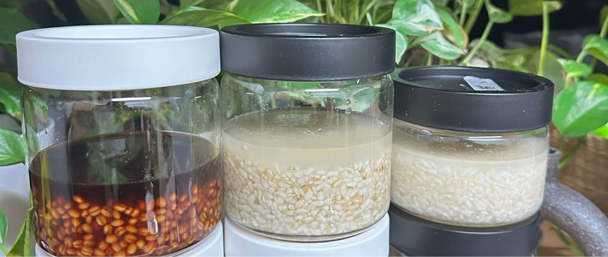 ABOUT TIME 麹教室